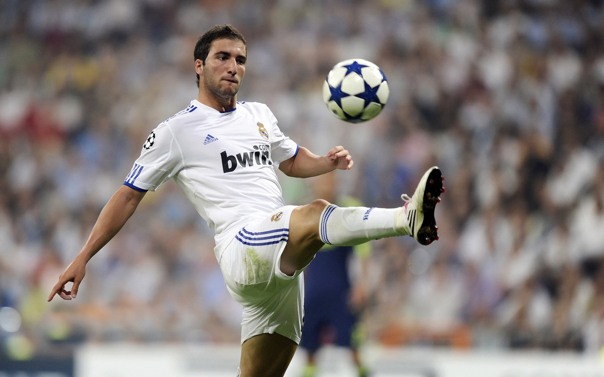 青少年足球杯：未来之星的闪耀舞台，2021年青少年足球联赛